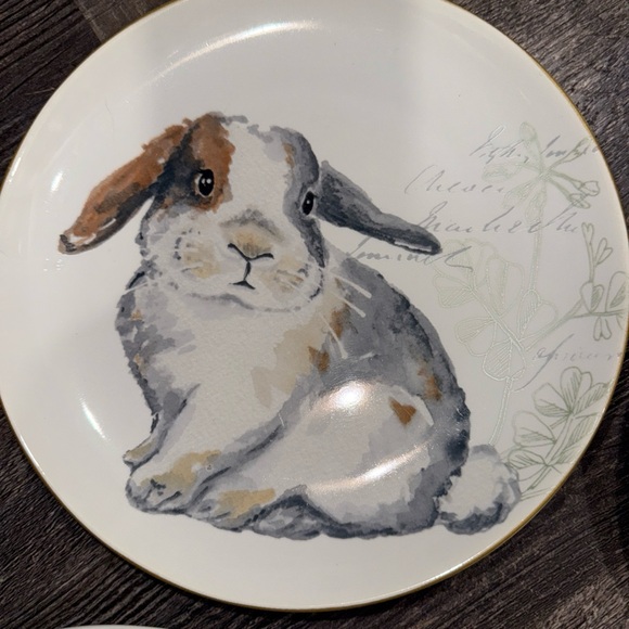 Pier 1 Bunny Salad Plates - White and Gray-set of 4 - Picture 7 of 8